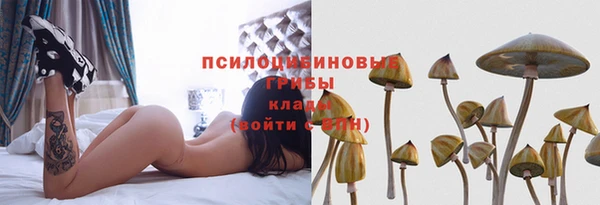 синтетический гашиш Арсеньев