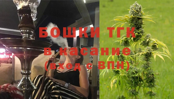 a pvp Аркадак