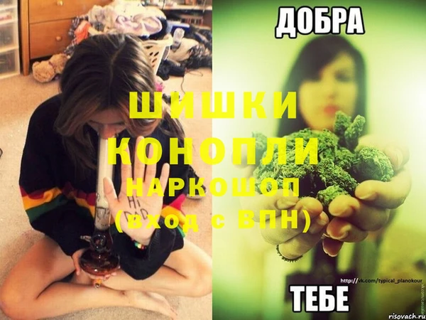 a pvp Аркадак