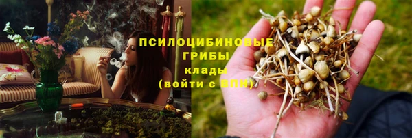 a pvp Аркадак